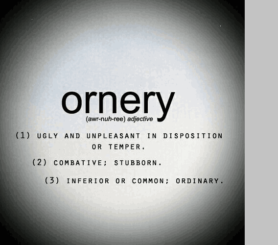 How Do You Spell Ornery A Complete Guide to the Word Ornery and Its Usage