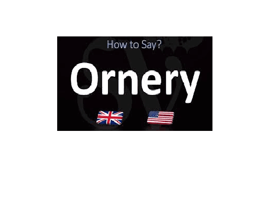 Ornery Define The Complete Guide to Understanding and Using “Ornery” in Everyday Life