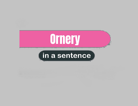 Ornery in a Sentence Mastering Usage for Business and Beyond
