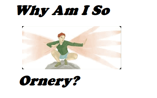 Why Am I So Ornery Understanding, Managing, and Overcoming Irritability