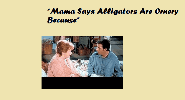 Why “Mama Says Alligators Are Ornery Because” The Science, Folklore, and Real Behavior Behind the Bite