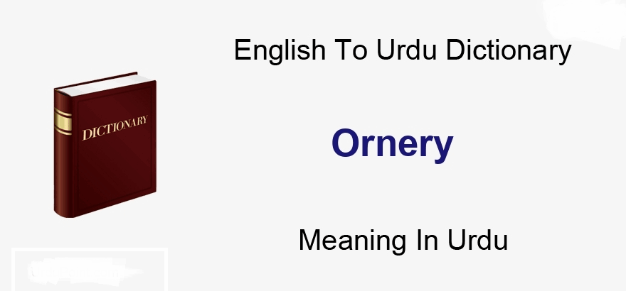 Ornery Meaning in Urdu A Deep Dive into Translation, Usage, and Cultural Nuance