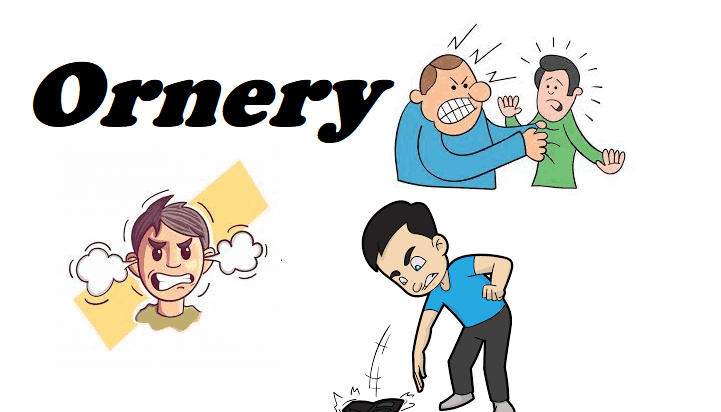 Understanding the Definition of Ornery in The Outsiders